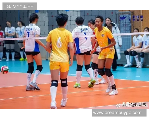 上海排球队力压群雄创排球力量新高引发热议